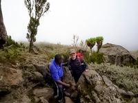 J&ouml;rg von de Fenn. Blinder Bergsteiger erklimmt den Kilimandscharo M&auml;rz 2009. Bild 14
